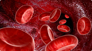 血液问题是引发中老年人疾病的根本-用康兴三高半导体激光/低频治疗仪GX-2000A调节中老年人血液健康-康兴官网