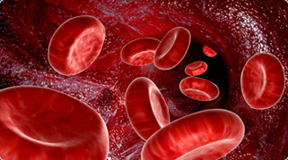 血液不健康用康兴三高半导体激光/低频治疗仪GX-2000B-康兴官网