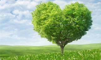 康兴三高半导体激光/低频治疗仪GX-2000B净化血液-康兴官网