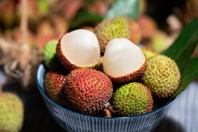 荔枝、水果、荔枝病、低血糖-康兴医疗器械官网 荔枝、水果、荔枝病、低血糖-康兴医疗器械官网