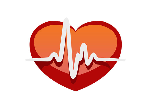 心脏跳动 心率 器官-康兴医疗器械官网 心脏跳动 心率 器官-康兴医疗器械官网