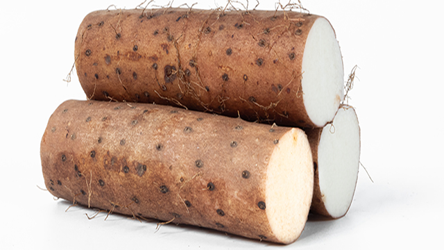 山药、脾胃、养胃-康兴医疗器械官网 山药、脾胃、养胃-康兴医疗器械官网