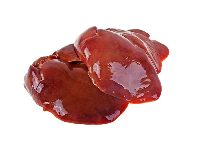 动物内脏、食材、肝脏-康兴医疗器械官网 动物内脏、食材、肝脏-康兴医疗器械官网