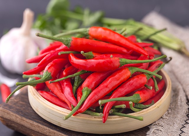 67b7d213d9bfb.jpg 小辣椒适应.jpg