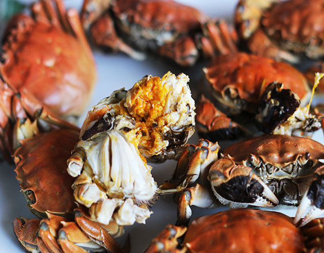 螃蟹、海鲜、美味-康兴医疗器械官网 螃蟹、海鲜、美味-康兴医疗器械官网