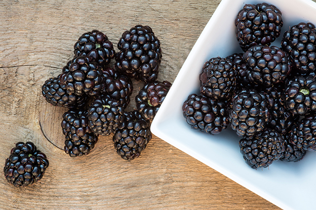 桑葚、水果、健康-康兴医疗器械官网 桑葚、水果、健康-康兴医疗器械官网