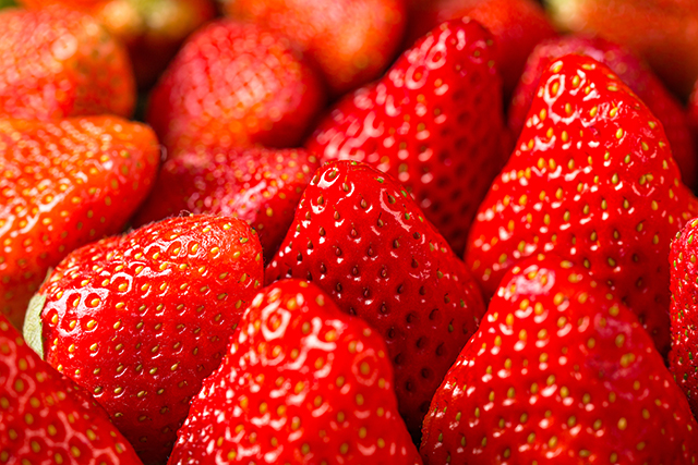 草莓、水果、健康-康兴医疗器械官网 草莓、水果、健康-康兴医疗器械官网