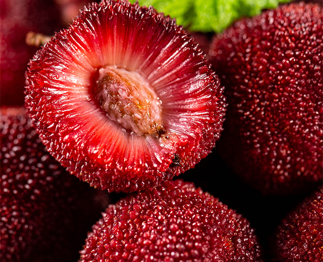 杨梅、清爽、解腻-康兴医疗器械官网 杨梅、清爽、解腻-康兴医疗器械官网