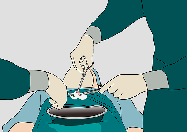 手术、医疗、医生-康兴医疗器械官网 手术、医疗、医生-康兴医疗器械官网