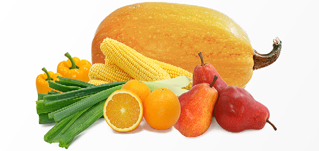 果蔬、健康、新鲜-康兴医疗器械官网 果蔬、健康、新鲜-康兴医疗器械官网