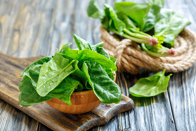 菠菜 蔬菜 饮食-康兴医疗官网 菠菜 蔬菜 饮食-康兴医疗官网