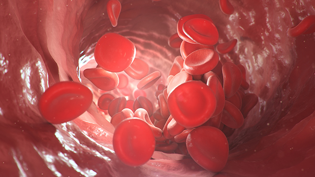 血液粘稠 血红蛋白 血液循环-康兴医疗官网 血液粘稠 血红蛋白 血液循环-康兴医疗官网